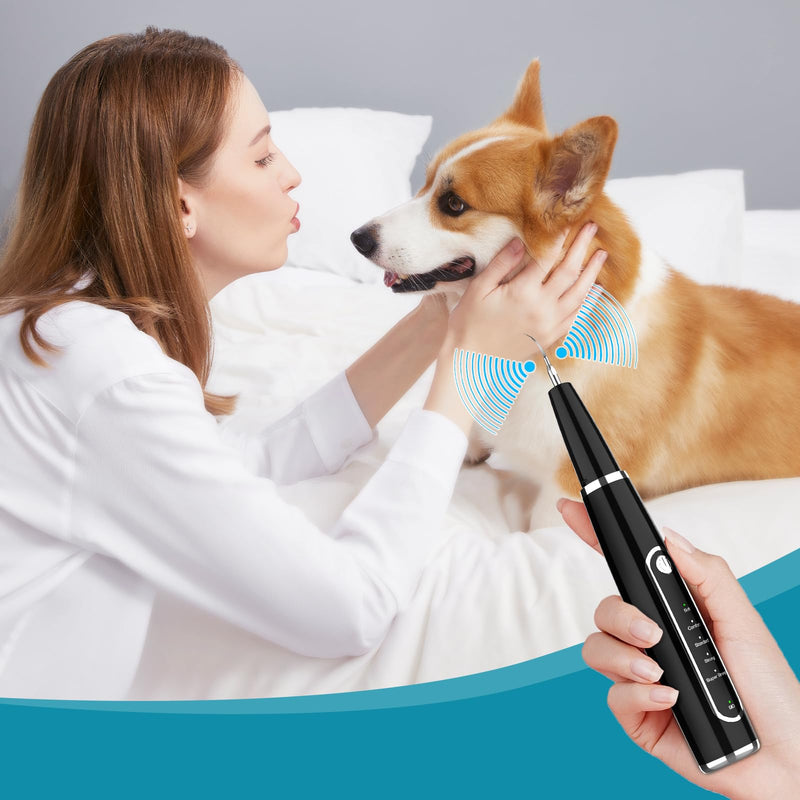 Electric Dog Plaque Remover for Teeth, Pet Teeth Cleaning Kit Products for Tartar & Plaque Off, with LED Light, Rechargeable Pet Dog Tooth Cleaner Dental Care Tools (Ebony)