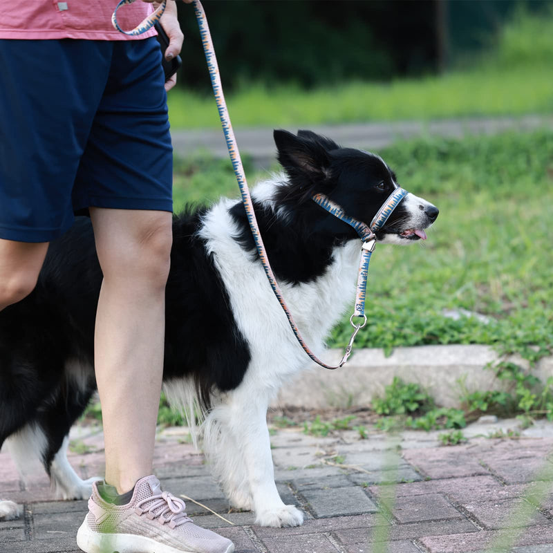 BARKLESS Dog Head Collar, Anti-Pulling Printed Head Halter with Leash, Gentle Snout Harness with Adjustable Clip for Small Medium, and Large Dogs, Perfect for Training Leash-Reactive Pullers M Trees - BeesActive Australia