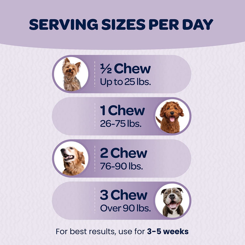Ready Pet Go! Omega 3 + Calming Chews for Dogs | Helps with Dog Anxiety, Separation & Barking | Fish Oil for Dog Shedding, Skin Allergy, Itch Relief | 90 Chews Each