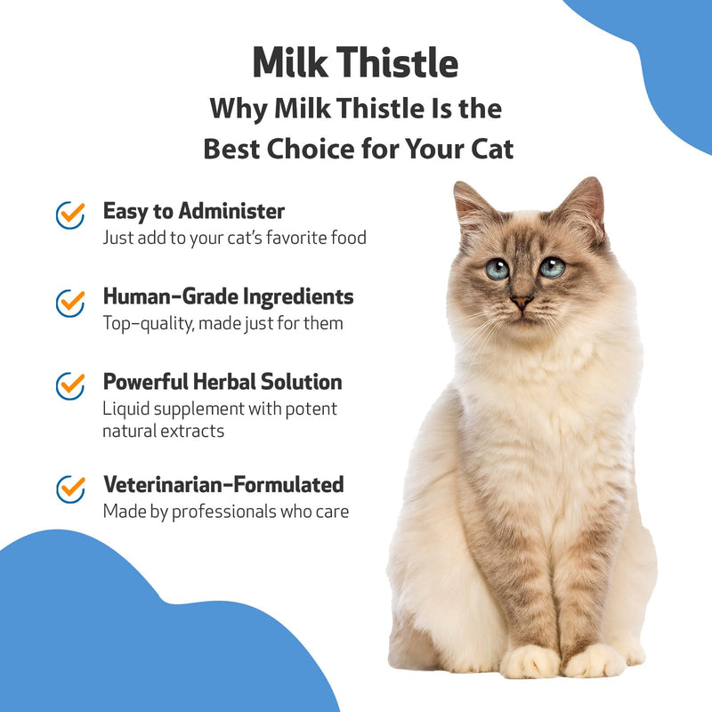 Pet Wellbeing Milk Thistle for Cats - Supports Liver Health, Healthy Detoxification, Antioxidant Support, Liver Cell Support, Silymarins - Veterinarian-Formulated Herbal Supplement (2 fl oz (59 ml) 2 Fl Oz (Pack of 1) - BeesActive Australia
