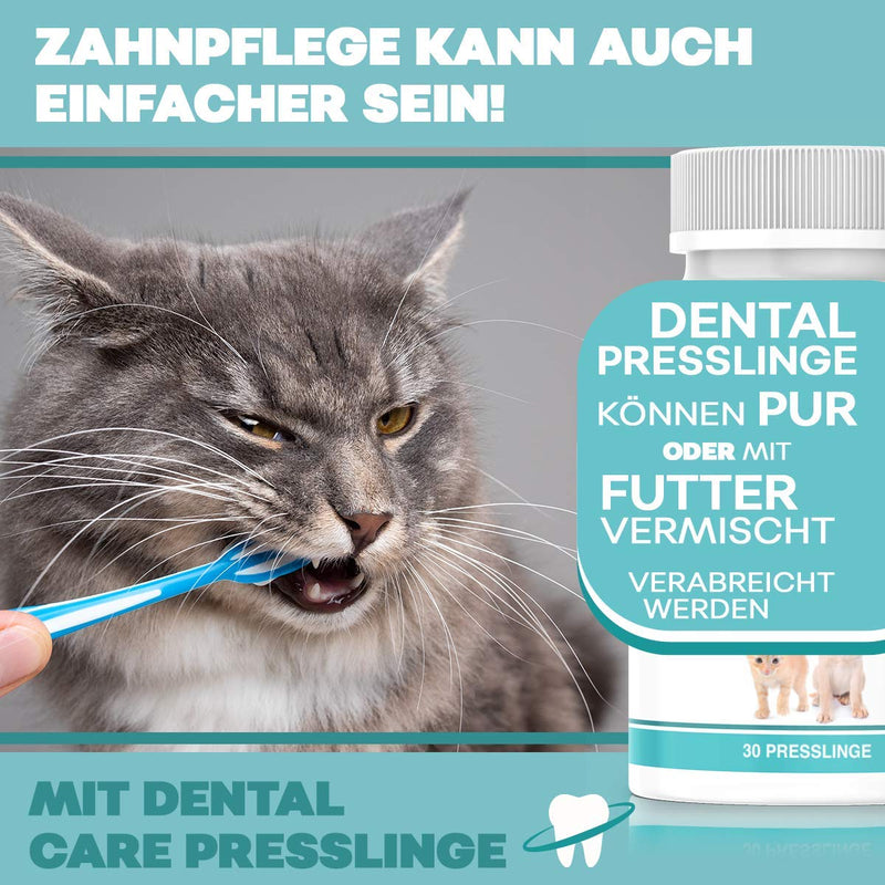NEW: HelloAnimal DENTAL pellets for dogs and cats - tartar remover also for gaps - teeth cleaning and dental care - for bad breath dental treats - BeesActive Australia