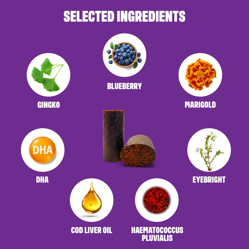 ivvi Vision – Eye Care Snacks for Dogs | With DHA, Astaxanthin, Blueberry & Eyebright | Supports Eye Comfort & Retina Function | 60 Soft Treats (270 g)
