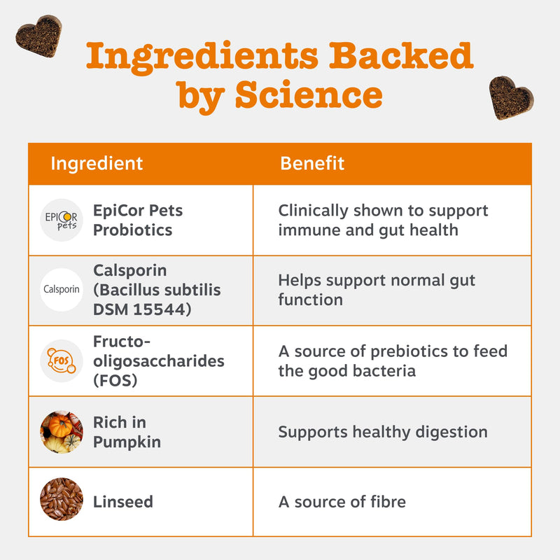 Zesty Paws Probiotic Chews for Dogs | Supports Gut Health, Stool Quality & Digestive Balance, Bad Breath| Contains Prebiotics, Probiotics & Postbiotics, Pumpkin & Linseed | Daily Use | 90 Chews 90 Count