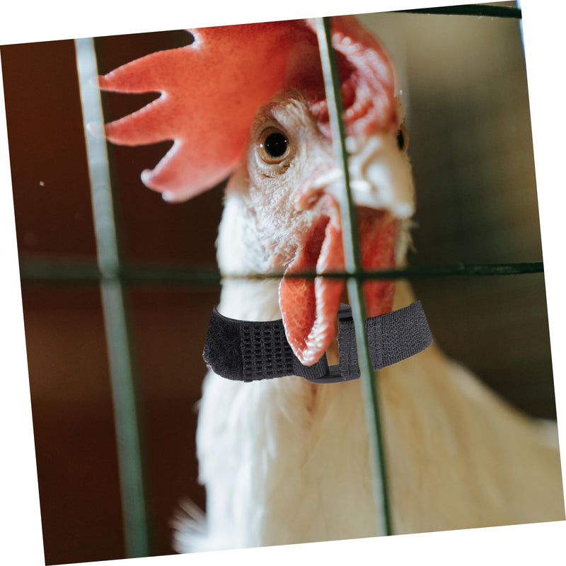 4pcs Neck Pet Collar Nylon Chicken Collar Rooster Neck Collar No Crow Rooster Band -Noise Collars Nylon Roosters Collars Noise Rooster Collar Poultry 2 Pack - BeesActive Australia