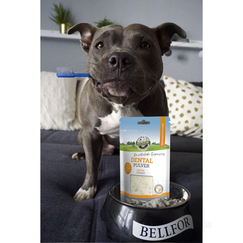 Bellfor Natural Dental Powder Against Tartar Easy to use and dose Excellent Digestibility Suitable for All Breeds of Dog Dental Powder - 80 g