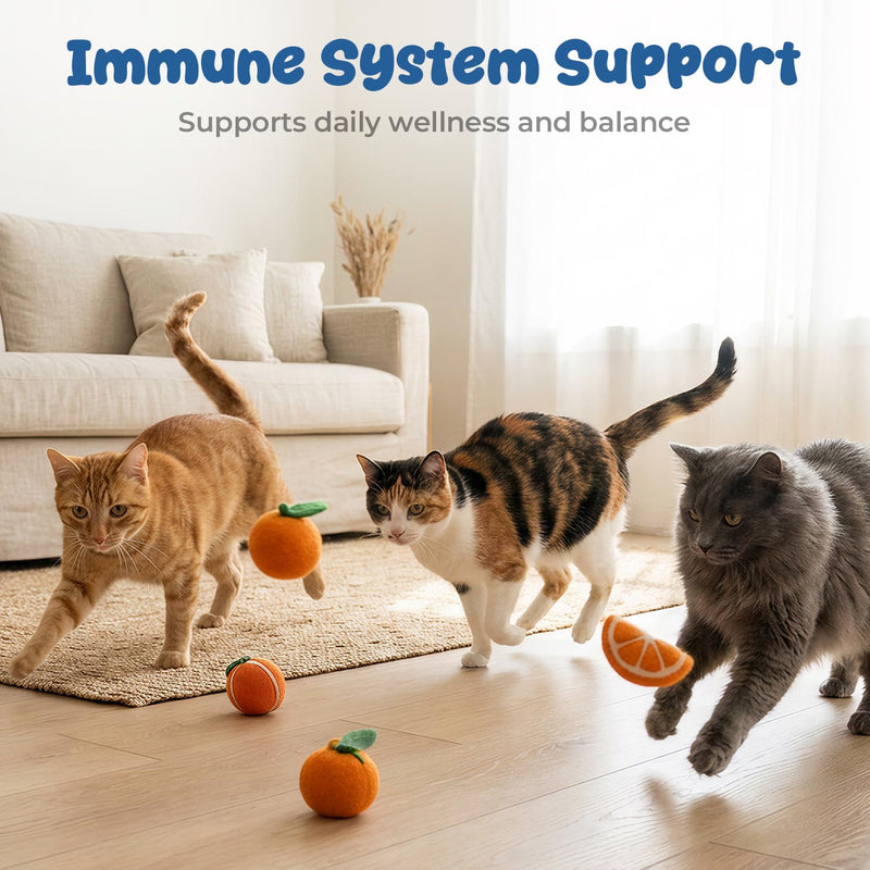 Taurine Supplement for Cats Drops - Daily Amino Acid Nutrition Liquid Drops for Heart & Vision Support, Easy Daily Taurine Supplement for Feline Diets, 60 ml 60 ml (Pack of 1)