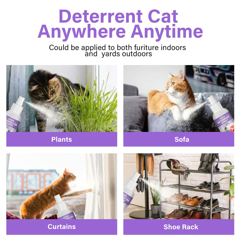 Cat Deterrent Outdoor&Indoor, Cat Deterrent Spray, Cat Repellent Outdoor to Keep Cats Away, Cat Repellent Spray for Furniture, Prevent Scratching, Digging&Biting, Nontoxic purple - BeesActive Australia