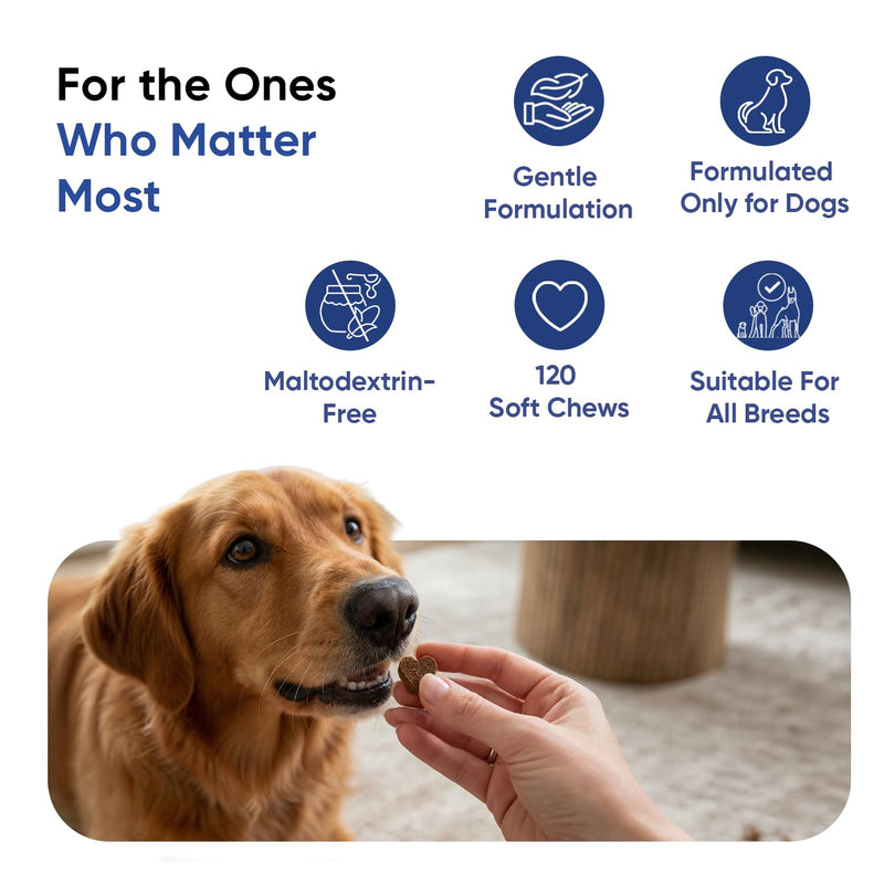 animigo Multivitamins and Minerals for Dogs - 120 Soft Chews - With 18 Vitamins & Minerals - Easy to Chew & Gentle Formulation - Suitable For All Breeds - Lactose-Free & Soy-Free