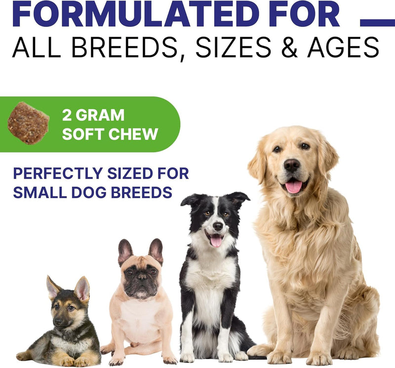 Probiotic, Enzyme, Prebiotic, Dog Chews for Digestive Support - Helps with Stool Consistency, Gas, Constipation, Diarrhea - 100 Chews (Pack of 1) - Classic Beef - BeesActive Australia