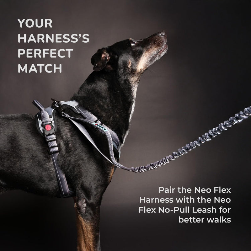 NeoFlex Premium Dog Leash - Stylish Leash for Medium, Small & Large Dogs - Heavy Duty, Wearable Design for You & Dog - Ideal for Pulling Dogs & Large Breeds - Durable & Comfortable - Purple