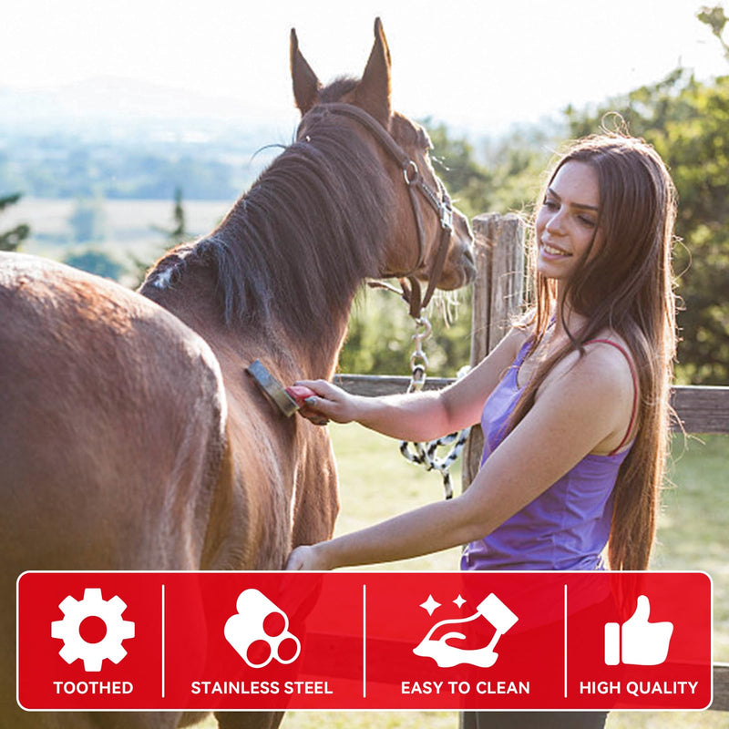 Frdhee Metal Dog/Horse Welding Knife Welding Knife for Horses Welding Knife with Prongs Stainless Steel Shedder Scraper Tool Double Sided Blade for Cleaning Dirt and Loose Hair - BeesActive Australia