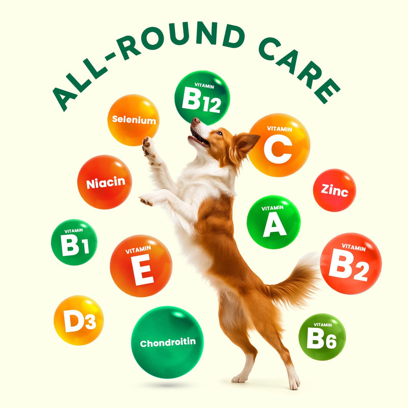 ZENO Dog Vitamins and Supplements - 150 Dog Multivitamin Chewable - Immune, Joint Support, Skin, Gut Health + Packed with Omega 3s, Glucosamine & Probiotics - Safe for Puppy - Chicken