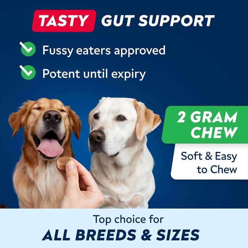 STRELLALAB Dog Probiotics for Gut Health & Digestive Enzymes Fiber Supplement - Anti Diarrhea, Constipation, Upset Stomach, Gas Relief - Digestion Treats Chews - 60 Chews Poulty