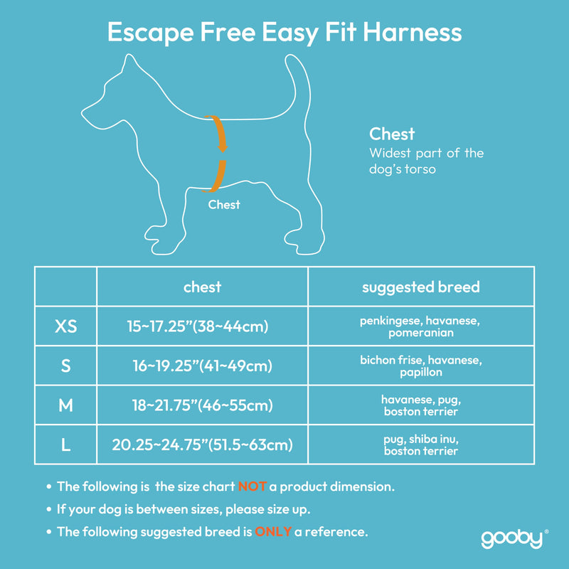 Gooby - Escape Free Easy Fit Harness, Small Dog Step-In Harness for Dogs that Like to Escape Their Harness, Turquoise, Small Small chest (16~19.25") - BeesActive Australia