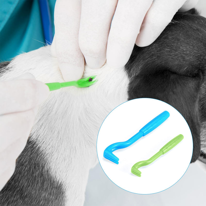 Coptiner Set of 6 Tick Hooks 3 Sizes Tick Tongs Tick Remover Simple and Safe Tick Lever Tick Protection for Dogs, Cats, Horses and People Alternative to Tick Tweezers (Green, Blue) - BeesActive Australia