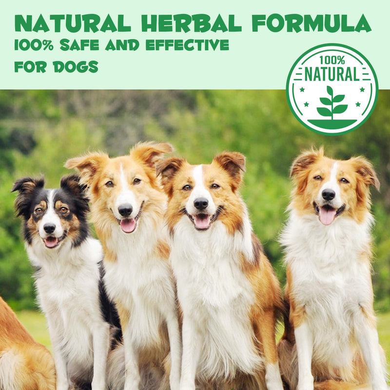 Specifically Formulated for Dogs, Dogs Broad Spectrum Supports, Naturally Sourced Ingredients, Gut Health, Easy-to-Absorb, Probiotics Supplement Drops for All Ages and Breeds