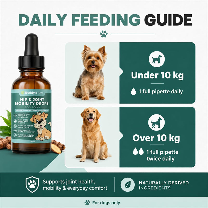 BUDDY'S BEST Twin Pack Natural Joint Support for Dogs – With Flaxseed, Hemp, Ginger & Turmeric Oils – Helps Maintain Mobility & Flexibility – Supports Overall Well-being – 50ml Pack of 2