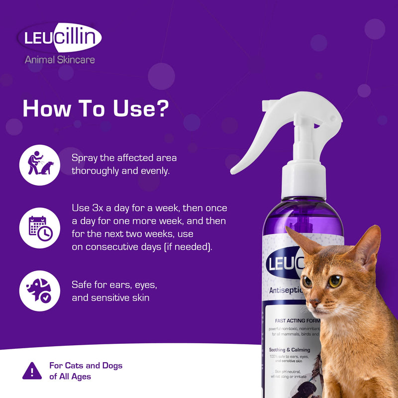 Leucillin Natural Antiseptic Spray - Antibacterial Antifungal Antiviral for Dogs Cats All Animals Itchy Skin Minor Wound Care and Skin Health | 250ml 250 ml (Pack of 1)