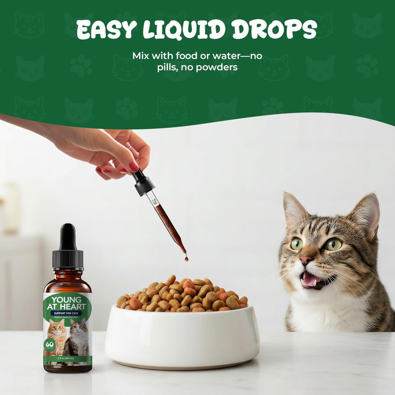 Young Heart Support for Cats – Taurine, L-Carnitine & Hawthorn Liquid Drops for Heart Function & Daily Vitality, Herbal Cardiovascular Support for Cats, Easy Daily Supplement, 2 fl oz