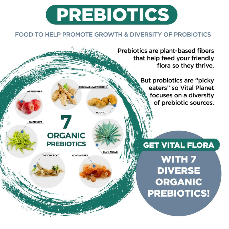 Vital Planet - Vital Flora Immune Support Probiotic, 60 Billion CFU, 60 Diverse Strains, 7 Organic Mushroom Supplement Blend with Prebiotics, Shelf Stable Digestive Health Probiotics 30 Capsules