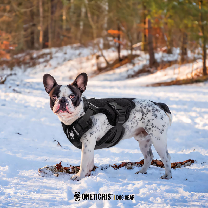 OneTigris Dog Winter Coat,Woolly Warm Winter Puppy Coat,MITT Dog Jacket Small Dog Coat with Harness Puppy Winter Jacket 2 in 1 Dog Coat(M) M - BeesActive Australia