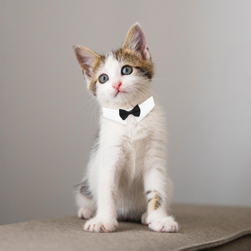 Black Bow Tie Cat Collar, Dog Cat Tuxedo Collar, Cat Wedding Bowtie, Adjustable Formal Collar Neck Tie, Formal Pet Cats Necktie for Cats, Small Dog Wedding, Birthday Gift - BeesActive Australia