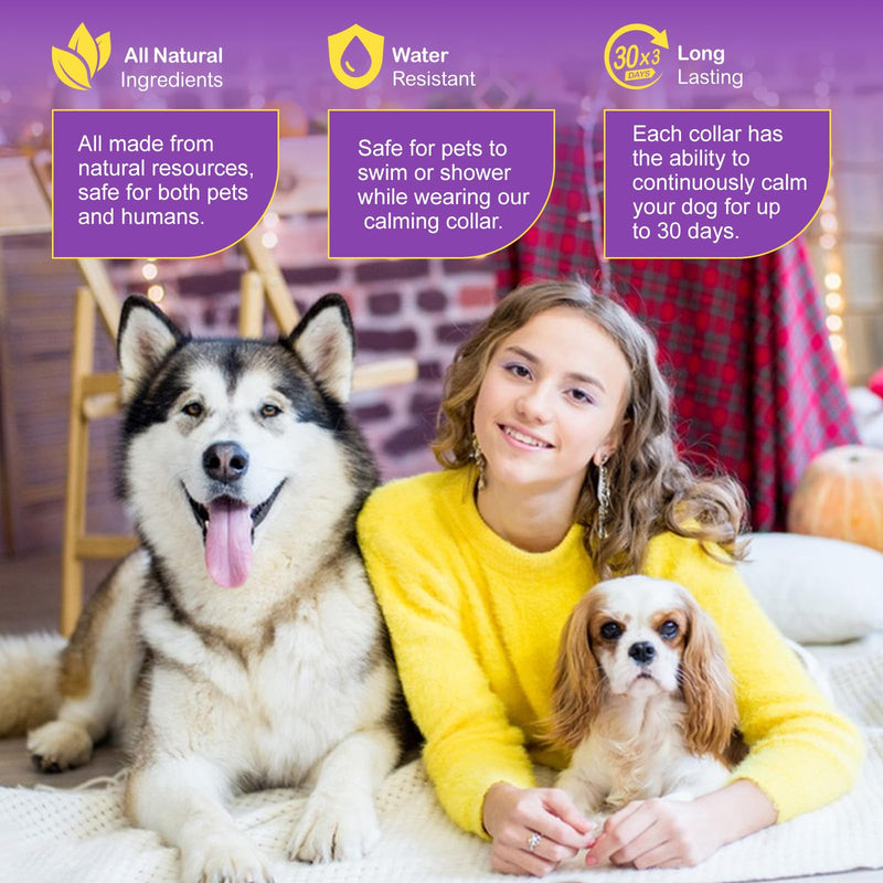 Dog Collar for Dogs 3 Pieces, Adjustable Design Pheromone Embedded Calming Collar for Anxiety, Adaptil for Dogs Collar, Calming Collar for Dogs, 18.9 Inch Collar (Dog) - BeesActive Australia