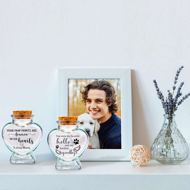 Pack of 2 memorial bottle glass bottles for ashes, teeth, animal hair glass container storage jar for dogs, cats ashes keepsake, memorial, mourning gift, animal loss - BeesActive Australia
