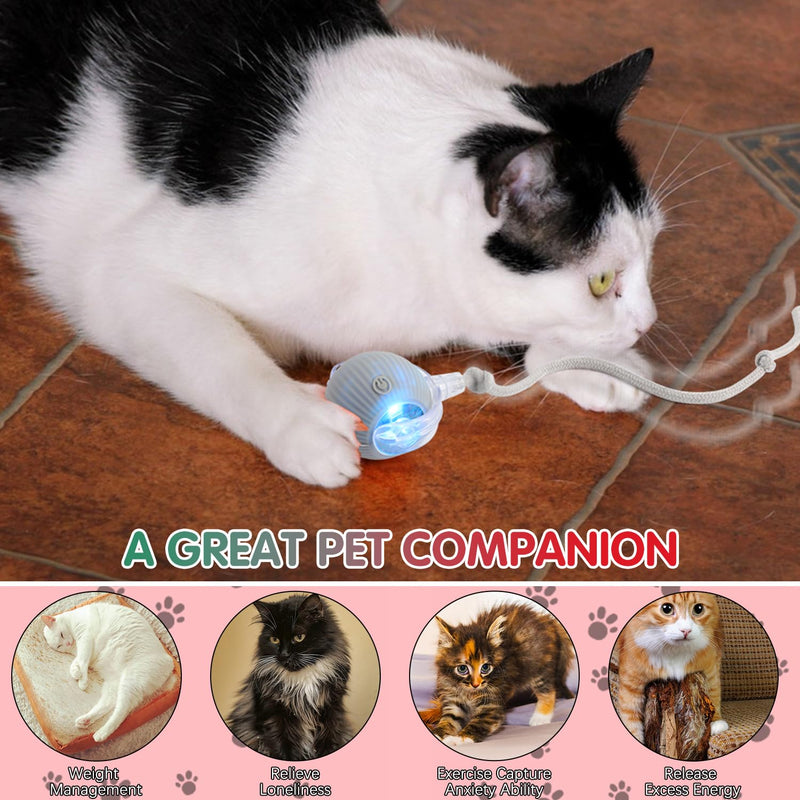 Interactive Cat Ball Toys, 360° Smart Automatic Moving Cat Balls, Self Rolling Interactive Cat Dog Ball, Electric Moving Peppy Pet Ball Toy for Indoor Cat Kitten Exercise to Keep Them Busy (3 Pcs) - BeesActive Australia