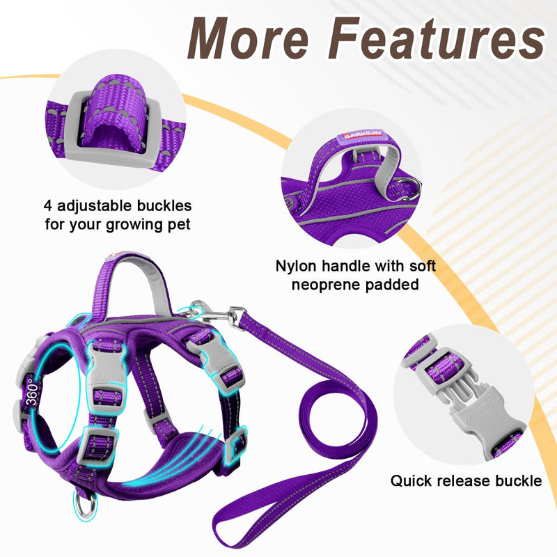Cat Harness and Leash Set for Walking Escape Proof for Small Large cat Kitten Harness with ID tag Pocket (Purple,XXS) XX-Small Purple - BeesActive Australia