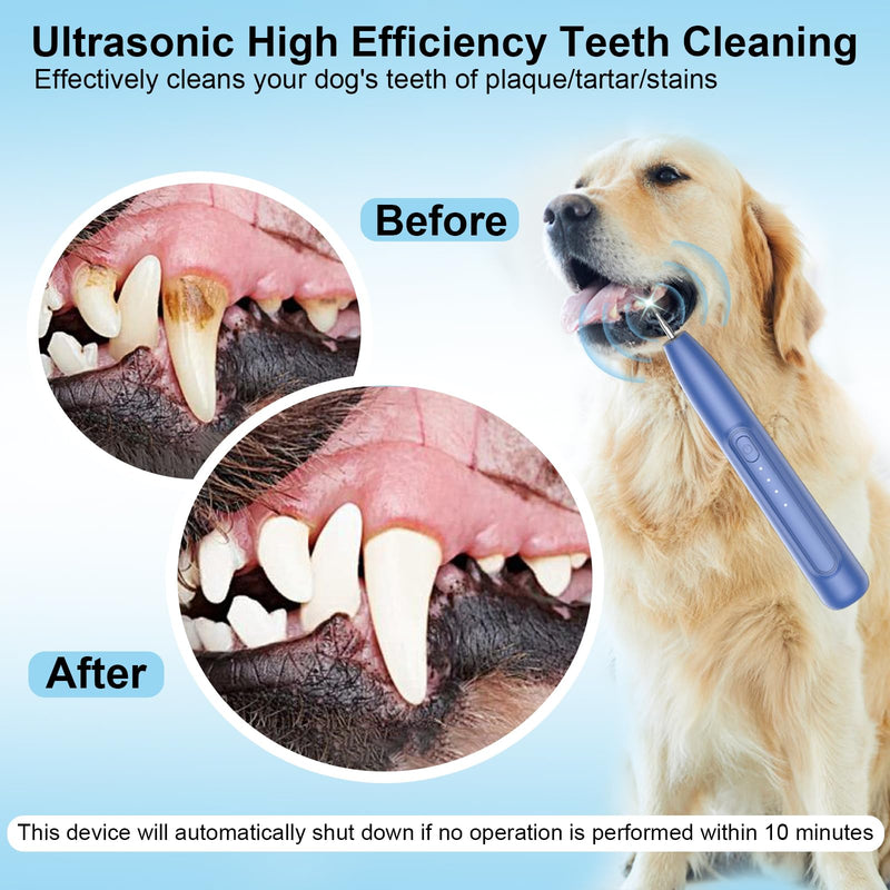 Ultrasonic Dog Teeth Cleaner, 3 Modes Sonic Tooth Cleaner for Dogs, Low Noise Sonic Dog Plaque and Tartar Remover with LED Light, 2 Cleaning Head, Toothbrush, Dental Mirror Probe Tweezer and Scraper Blue