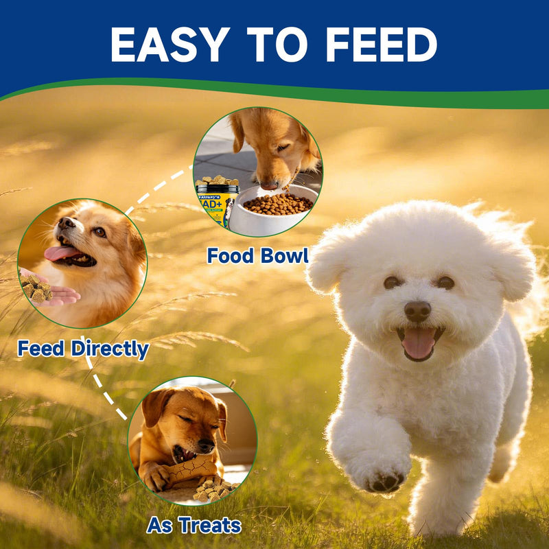NAD Supplement for Dogs - NAD Soft Chews for Senior Dogs - Energy & Vitality, Anti-Aging, Cognitive Function - NR, Trans-Resveratrol, Quercetin, Glucosamine HCI - 140 Chews, Chicken Flavor