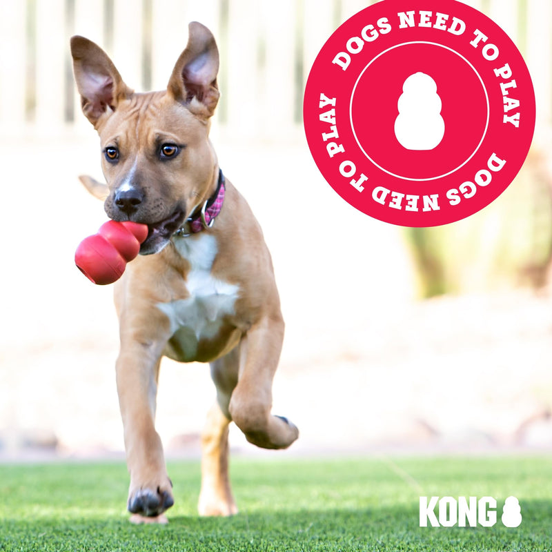 KONG Tug Toy - Dog Supplies for Tug of War - Natural Rubber Dog Toy for Outdoor & Indoor Playtime - for Medium/Large Dogs