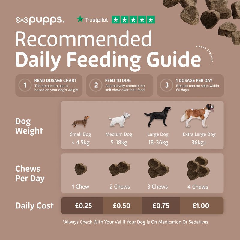 Pupps Pre & Probiotic Dog Treats – 120 Gut Health Chews | 4.5 Billion CFUs with Pumpkin & Digestive Enzymes | For Sensitive Stomachs, Digestion & Immunity | Duck Flavour | Vet Approved, UK Made 120 x Chews