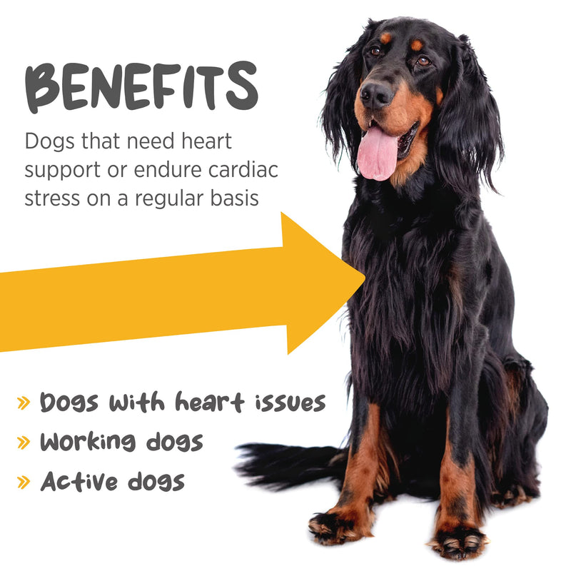maxxipaws - maxxicardio Heart Support for Dogs (Small Size) – Taurine + L-Carnitine + Hawthorn + Ginkgo – Helps Support Circulation, Energy & Stamina – Easy Mix Powder – Made in USA – 3.2 oz