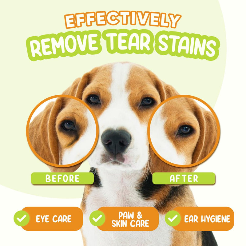 Pet Eye Wipes for Dogs & Cats | Gently Removes Tear Stains, Eye Debris, Discharge, Mucus Secretions | Chamomile Oil Pet Cleaning & Deodorizing Wipes for Eyes & Stains (100 Count) 100 Count - BeesActive Australia