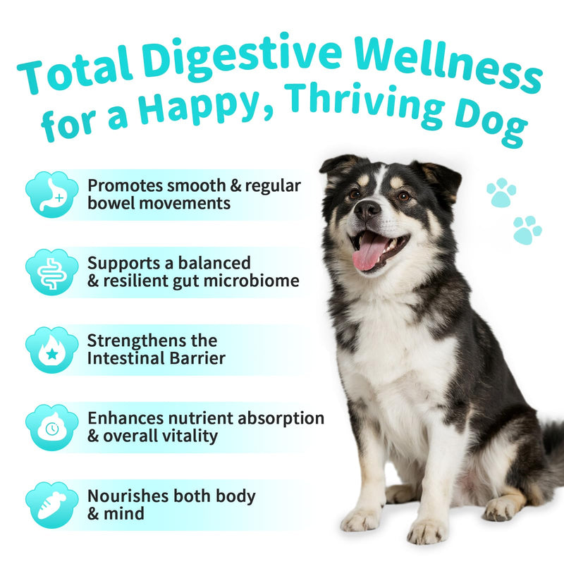 Probiotics for Dogs, Digestive Enzymes & Pumpkin Fiber for Gut Health and Bowel Support, Dog Supplement for Gas Relief & Constipation, 10B CFU with 5 Prebiotics & 5 Enzymes, 90 Count Chicken Flavor 90 Count (Pack of 1)