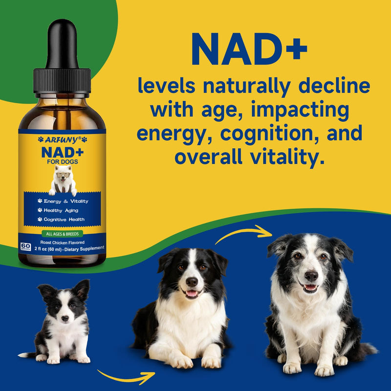 NAD+ for Dogs - Longevity Supplements for Dogs Energy, Vitality, Healthy Aging, Cognitive Health - Senior Dog Supplement with NR, Trans-Resveratrol, Quercetin, Glucosamine HCI - 60ML