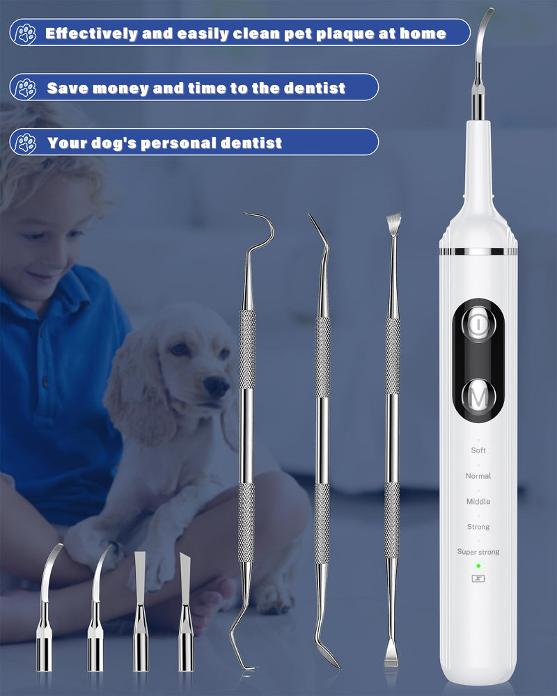 Plaque Remover for Teeth, Pet Tooth Brushing Kit, Dental Tools to Remove Plaque and Tartar, Safe for Dog and Cat, with LED Light, White