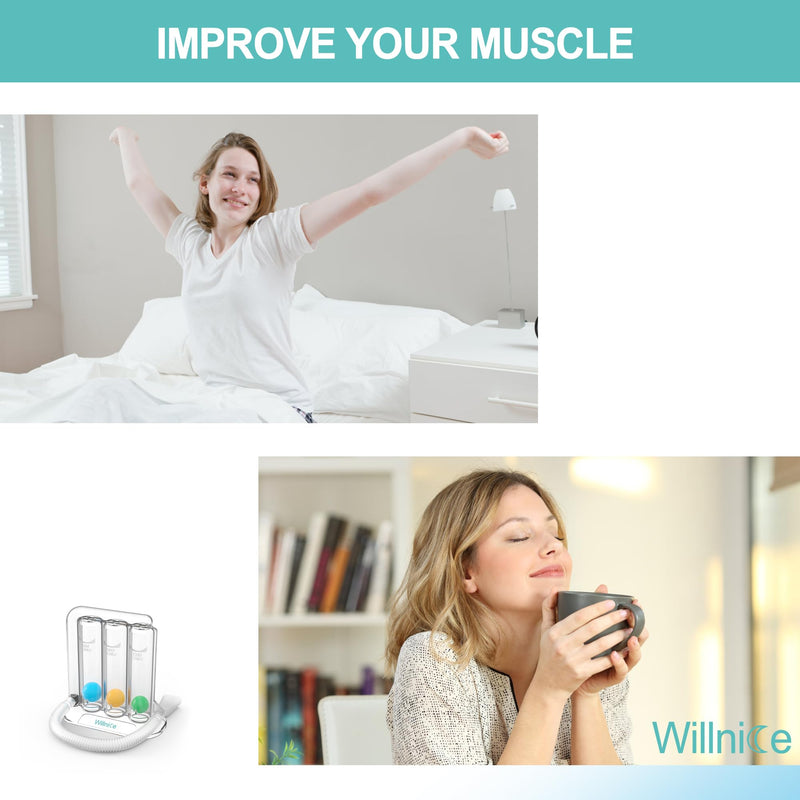 Training Device, Daily Exercise Device, Natural Trainer for Better Strengthen, Easy to Use and Clean, Standard - BeesActive Australia