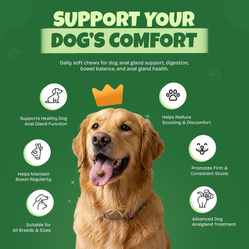 The Dog Doctors Scoot Solutions 120 Soft Chews – Digestive Chews for Dogs – Fibre Blend Soft Chews for Digestive Health, Gut Balance & Dog Anal Gland Support 120 count (Pack of 1)