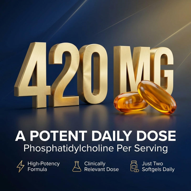Phosphatidylcholine Choline Supplement 420mg - Liver, Brain & Cell Health | From Soy Lecithin, Phospholipid Complex, 60 Softgels - 30 Day Supply, Non-GMO, Easy to Swallow, Natural Choline Source