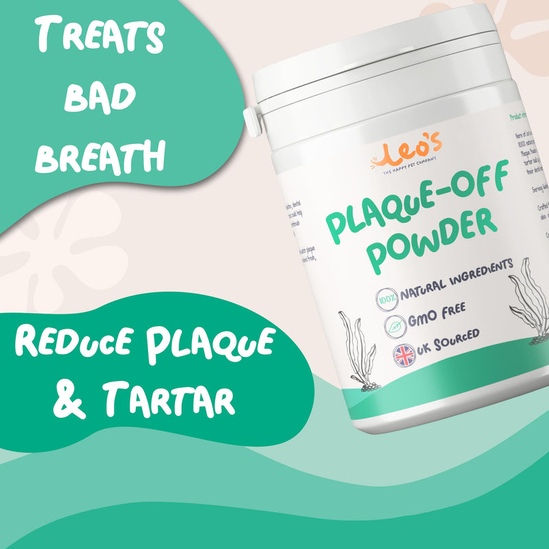 Leo's Plaque Off Powder For Dogs & Cats | 200g | Pet Teeth Cleaning | Cat & Dog Breath Freshener Food Topper | 100% Natural | No Dog Toothbrush or Dog Toothpaste | Plaque Remover For Dogs & Cats 1 Pack