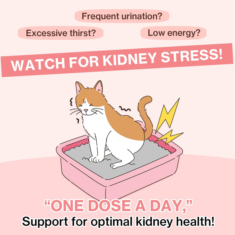 Dr.BY Cat Breath Bronchial Supplements Cat Nose Relief + Dr.BY UT Care Cat UTI Kidney Support Urinary Supplement Cranberry Treatments for Cats
