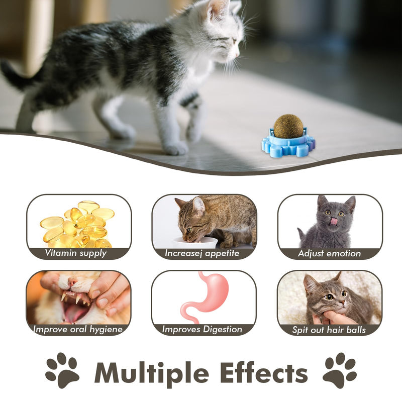 Catnip Balls Rollerball For Cats Wall Mount Magic Mint Stick Up Station Cat Nip Balls Cat Nips Organic Ball Cat Crack Catnip Ball Spinning Sugar Lick Rollerball Toy Chew Teeth Cleaning Anxiety Relief - BeesActive Australia