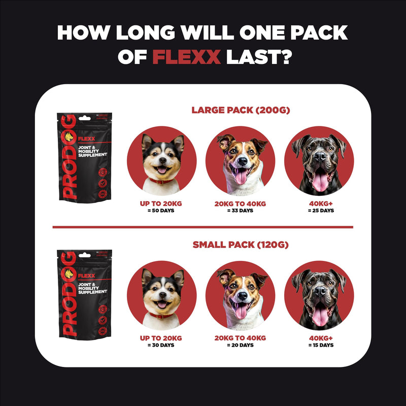 ProDog Flexx Joint & Mobility Powder for Dogs - 11 Active Ingredients | Glucosamine MSM Green Lipped Mussel | Senior, Adult & Working Breeds | 120g, 30 Servings Small - 120g
