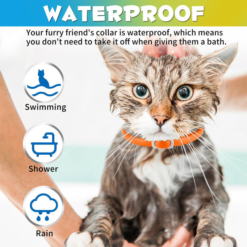 Anti-flea and anti-tick collar for cats, 4 pieces against larvae and eggs - eliminates and kills - protects the animal and the habitat, effective protection for 24 months, adjustable and waterproof
