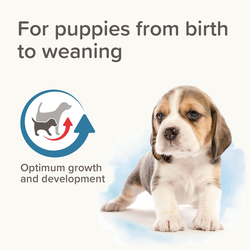 Beaphar- Lactol Puppy Milk 250g - Milk Replacer & Complete Feed for Newborn & Weaning Puppies – For growth & development – Contains DHA, Vitamins & Minerals – Ideal for Hand-Rearing – Use from Birth 250 g (Pack of 1)