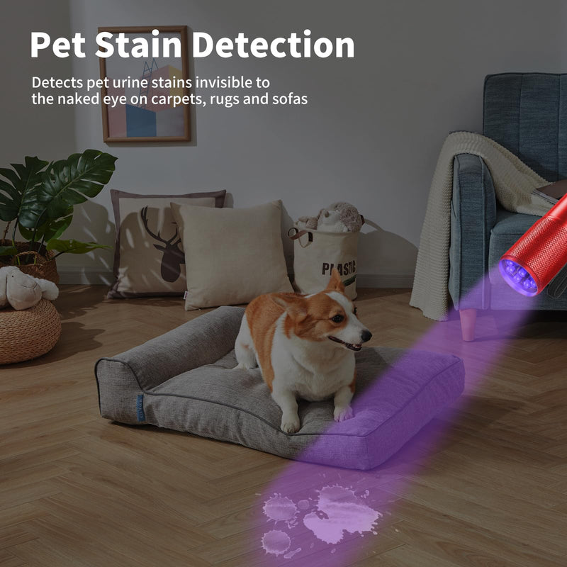 UV Flashlight Black Light, 5 Pack 9 LED 395nm Ultraviolet Blacklight Flashlight, Mini Portable Torch Light Pet Urine Detector for Dog/Cat Urine, Dry Stains, Bed Bug(15x AAA Batteries(Red)) Red - BeesActive Australia