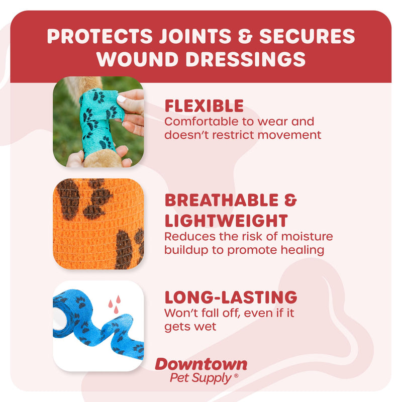 Cohesive Vet Wrap for Dogs, Self Adhesive Bandages in Bulk, Pet Cat Wound Care, Gauss Bandage for Horses by Downtown Pet Supply (Rainbow Claw, 10 Pack) Rainbow Claw - BeesActive Australia